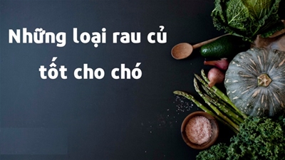 Chia sẻ về các loại rau tốt cho thú cưng