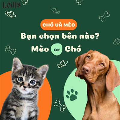 NGƯỜI NUÔI CHÓ VÀ NGƯỜI NUÔI MÈO: TÍNH CÁCH KHÁC NHAU NHƯ THẾ NÀO?