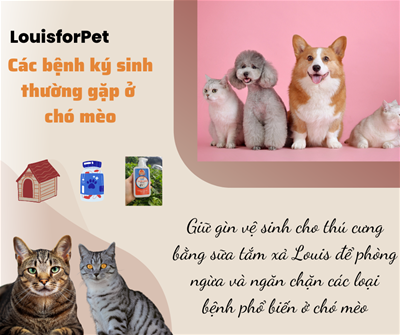 Chia Sẻ Về Các Bệnh Ký Sinh Thường Gặp Ở Chó Mèo