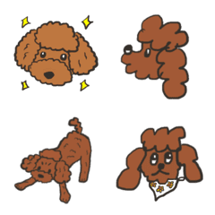 Phân loại chó Poodle