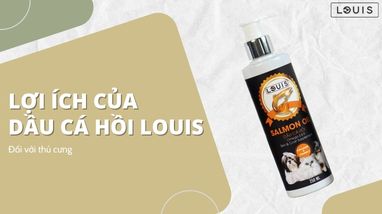 LỢI ÍCH CỦA DẦU CÁ HỒI LOUIS ĐỐI VỚI THÚ CƯNG