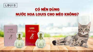 CÓ NÊN DÙNG NƯỚC HOA LOUIS CHO MÈO KHÔNG?