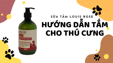 HƯỚNG DẪN TẮM CHO THÚ CƯNG VỚI SỮA TẮM LOUIS ROSE