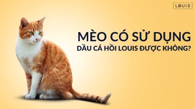 MÈO CÓ SỬ DỤNG ĐƯỢC DẦU CÁ HỒI LOUIS KHÔNG?