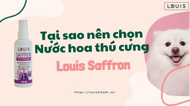 TẠI SAO NÊN CHỌN NƯỚC HOA THÚ CƯNG LOUIS SAFFRON CHO THÚ CƯNG?