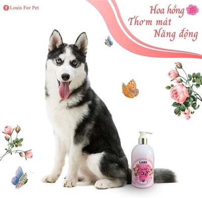 Sữa tắm Louis For Pet Oudh Rose & Black Pepper – hương thơm quyến rũ thơm lâu